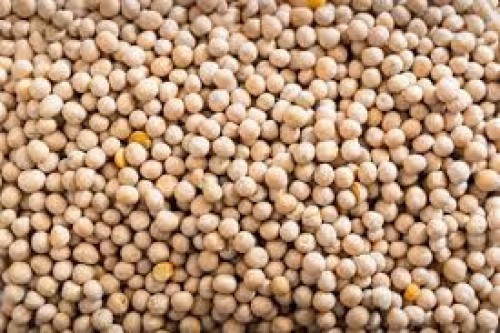 Dried Yellow Peas